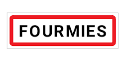 guêpes frelons à Fourmies