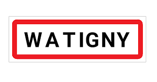 guêpes watigny