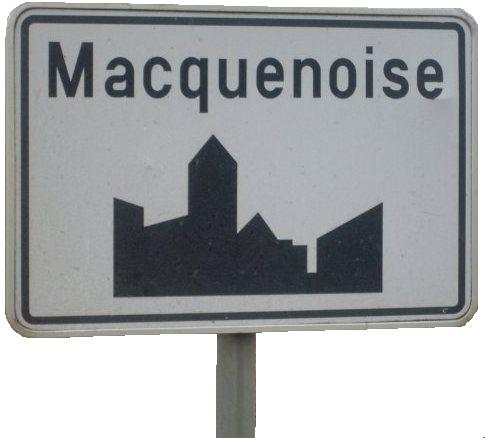 guêpes à Macquenoise