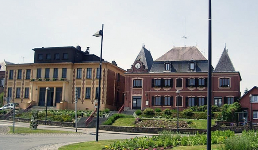 nid de guêpes et frelons à St Michel 02830
